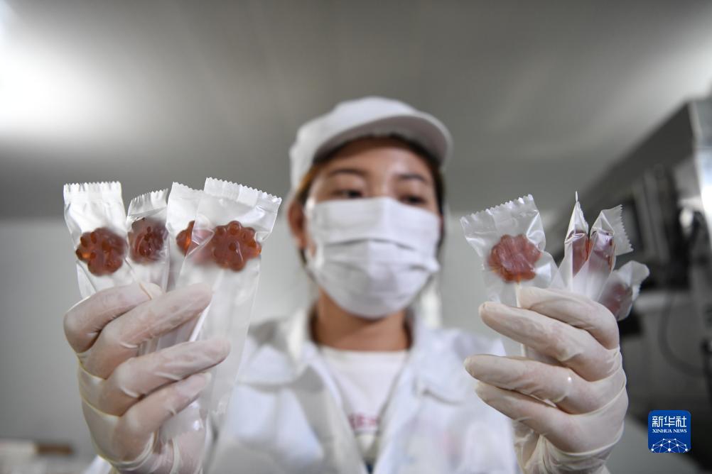 娱乐国际网址